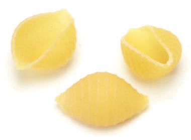 conchiglie: 1. obrázek